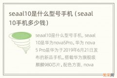 seaal10手机多少钱 seaal10是什么型号手机