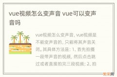 vue视频怎么变声音 vue可以变声音吗