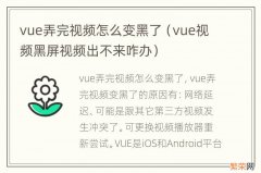 vue视频黑屏视频出不来咋办 vue弄完视频怎么变黑了