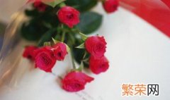 玫瑰花怎么保存方法 玫瑰花保存方法