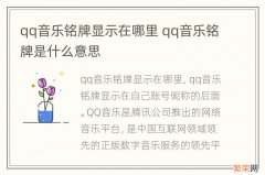 qq音乐铭牌显示在哪里 qq音乐铭牌是什么意思