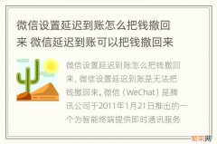 微信设置延迟到账怎么把钱撤回来 微信延迟到账可以把钱撤回来吗