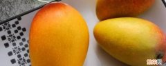 芒果是什么形状的 芒果是什么形状的英文