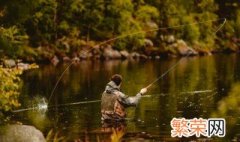 钓鱼有什么技巧和方法 初学钓鱼最详细的方法教程