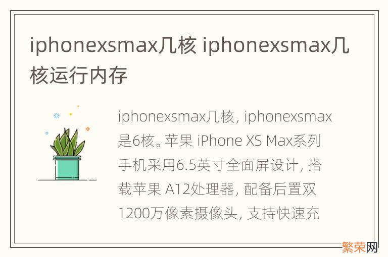 iphonexsmax几核 iphonexsmax几核运行内存