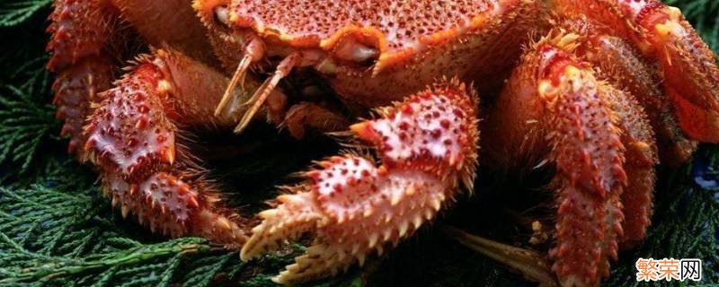 螃蟹蟹钳上的毛 螃蟹钳上有团毛是什么螃蟹
