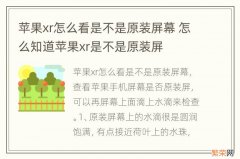 苹果xr怎么看是不是原装屏幕 怎么知道苹果xr是不是原装屏