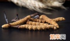 小孩能吃虫草吗 小孩能食用虫草的吗