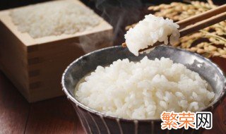 电饭煲煮饭怎么使用视频 电饭煲煮饭怎么使用