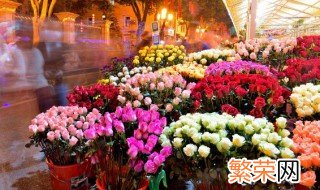 月季几月份剪枝插土里 月季剪枝插土里的时间