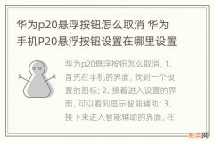 华为p20悬浮按钮怎么取消 华为手机P20悬浮按钮设置在哪里设置