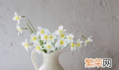 什么花代表分手 代表分手的花