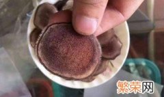 鲜鹿茸怎么吃 鲜鹿茸的吃法