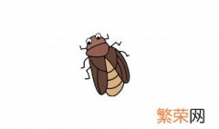 蟑螂是益虫还是害虫 蟑螂是害虫吗