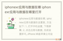 iphonexr应用与数据在哪 iphonexr应用与数据在哪里打开