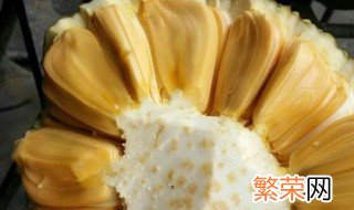 菠萝蜜辨别生熟方法图片 菠萝蜜辨别生熟方法