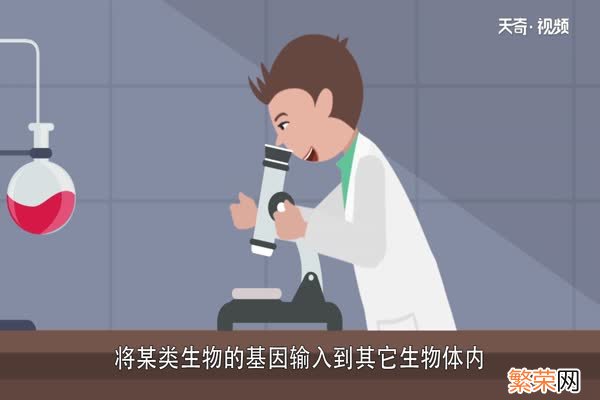 转基因和非转基因的区别 什么叫转基因和非转基因