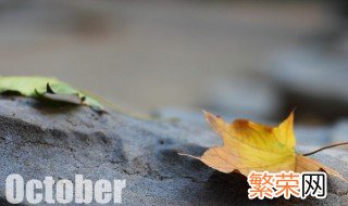 october是几月 october的来历