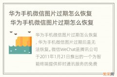 华为手机微信图片过期怎么恢复 华为手机微信图片过期怎么恢复正常