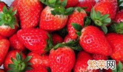 草莓怎样种植 怎样种植草莓