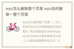 wps怎么删除整个页面 wps如何删除一整个页面