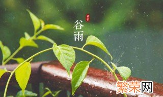 谷雨有什么习俗活动 谷雨有什么民俗活动