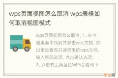 wps页面视图怎么取消 wps表格如何取消视图模式