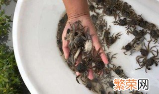 河蟹在家怎么养能多活几天 河蟹在家怎么养