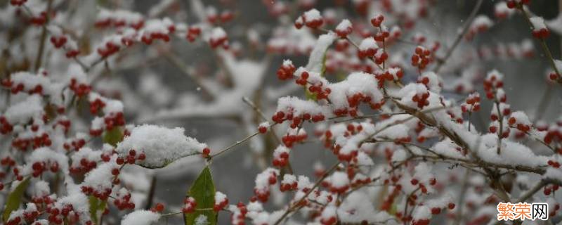 下雪用打伞吗? 下雪用打伞吗