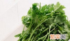 冬季香菜怎么保存好 冬季香菜怎么保存