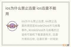 ios为什么禁止迅雷 ios迅雷不能用