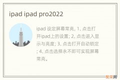 ipad ipad pro2022