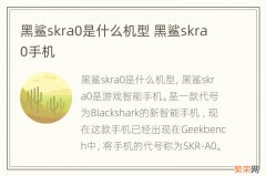 黑鲨skra0是什么机型 黑鲨skra0手机