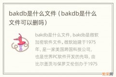 bakdb是什么文件可以删吗 bakdb是什么文件