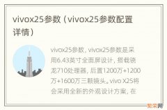 vivox25参数配置详情 vivox25参数