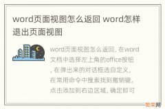 word页面视图怎么返回 word怎样退出页面视图