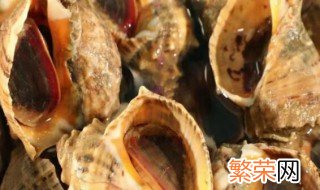 大海螺可以冷冻储存吗 大海螺能放冰箱冷冻吗