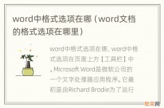 word文档的格式选项在哪里 word中格式选项在哪