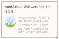 word占位符在哪里 word占位符长什么样