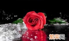 66支红玫瑰花束寓意 送66支红玫瑰的寓意是什么