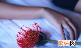 梦女是什么 梦女是什么意思二次元