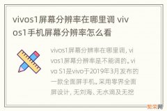 vivos1屏幕分辨率在哪里调 vivos1手机屏幕分辨率怎么看