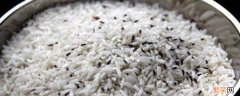 大米怎样存放一年不生虫子 大米怎么保存时间长不生虫子