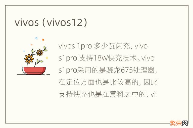 vivos12 vivos