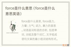 force是什么意思英语 force是什么意思