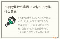 puppy是什么意思 lovelypuppy是什么意思