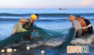 女人梦见看见别人抓鱼什么意思 女人梦见看见别人抓鱼