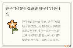 锤子TNT是什么系统 锤子TNT是什么