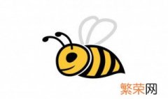 中华蜜蜂分蜂方法技巧 中华蜜蜂怎样人工分蜂