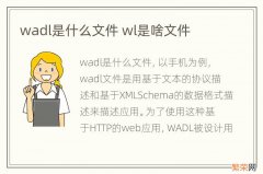 wadl是什么文件 wl是啥文件